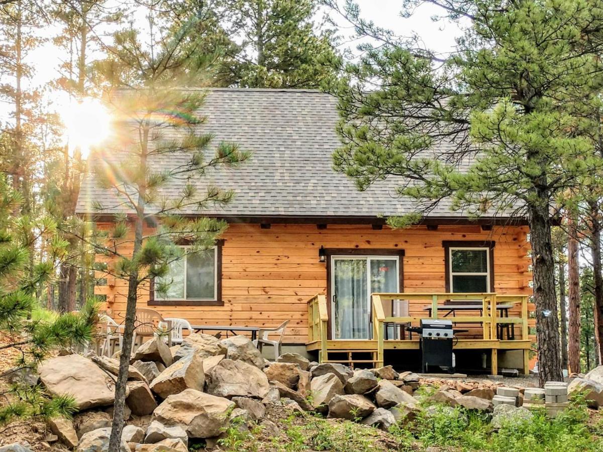 Freedom Ridge Cabins ヒル・シティ エクステリア 写真