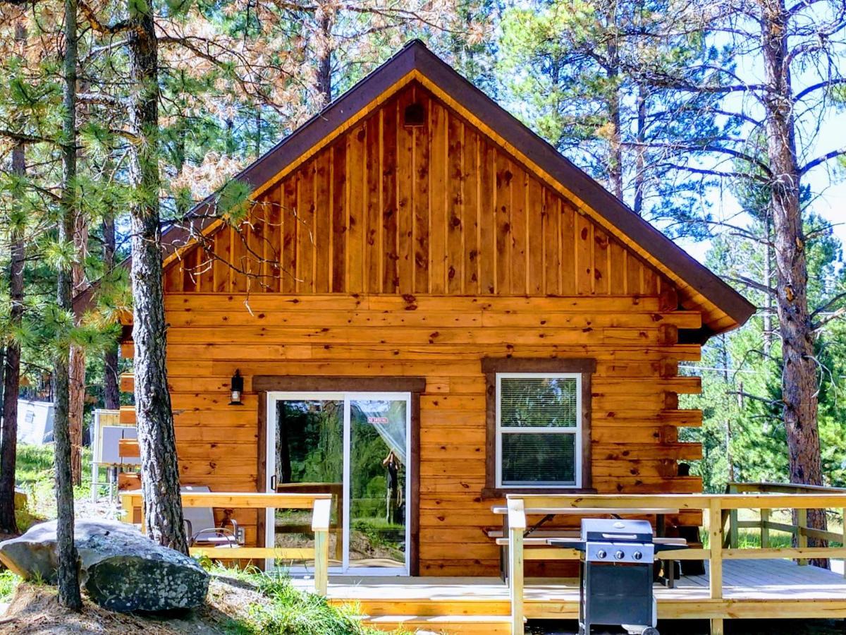 Freedom Ridge Cabins ヒル・シティ エクステリア 写真